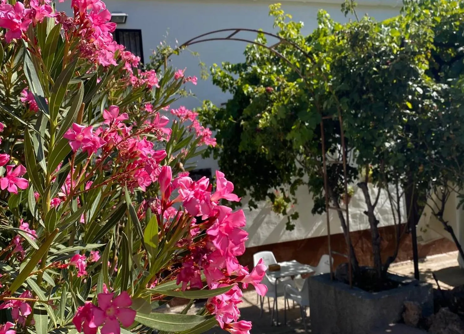 Alojamiento Rural Mar De Olivos Castril Holiday home