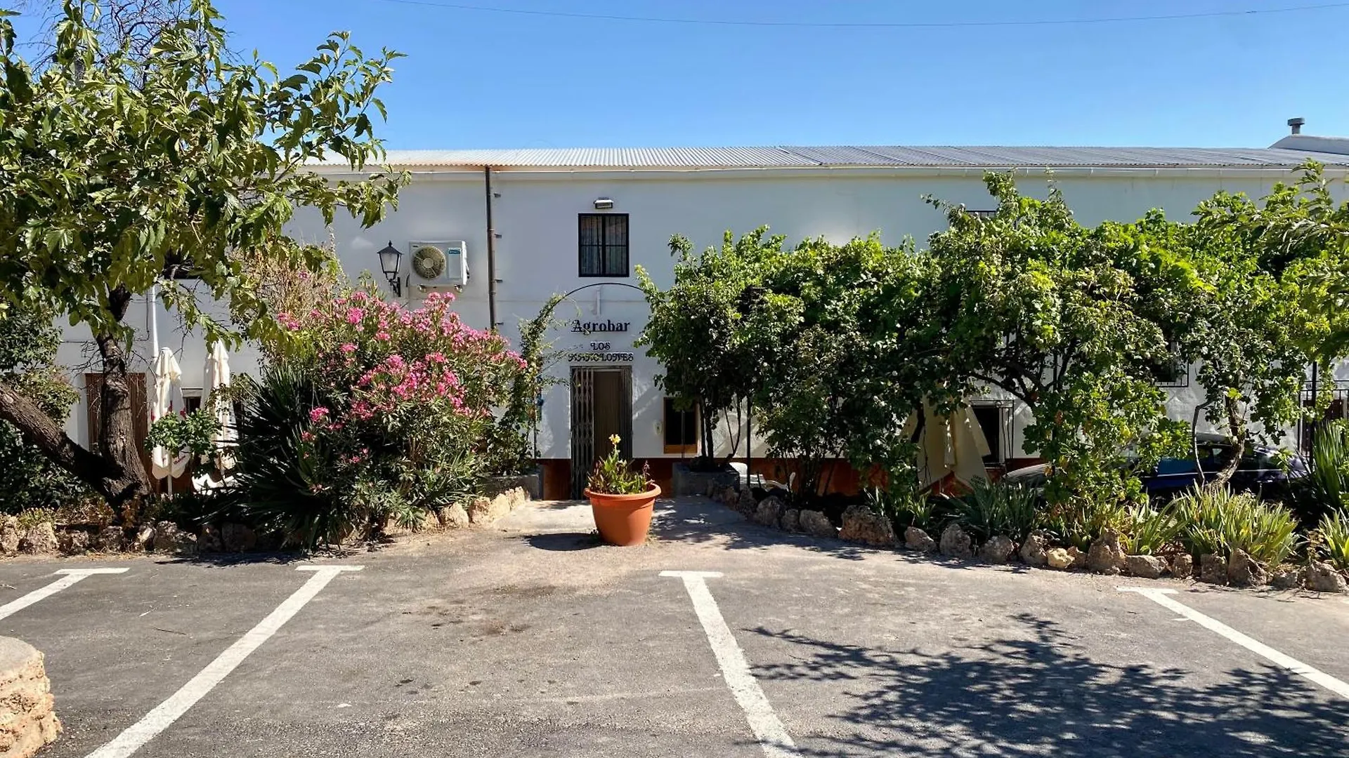 Alojamiento Rural Mar De Olivos Castril Holiday home